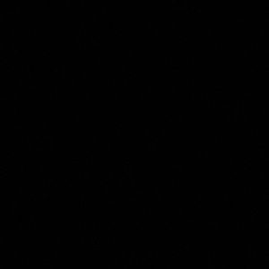 Meet your Posher, Max